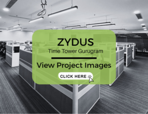 zydus